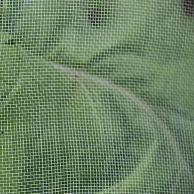 mesh 40 HDPE Anti insect net for agriculture and greenhouse